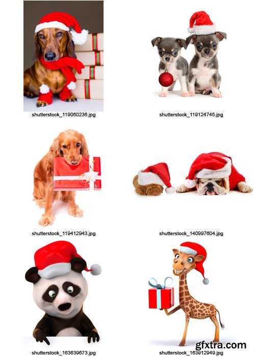 Amazing SS - Christmas Animals, 25xJPGs