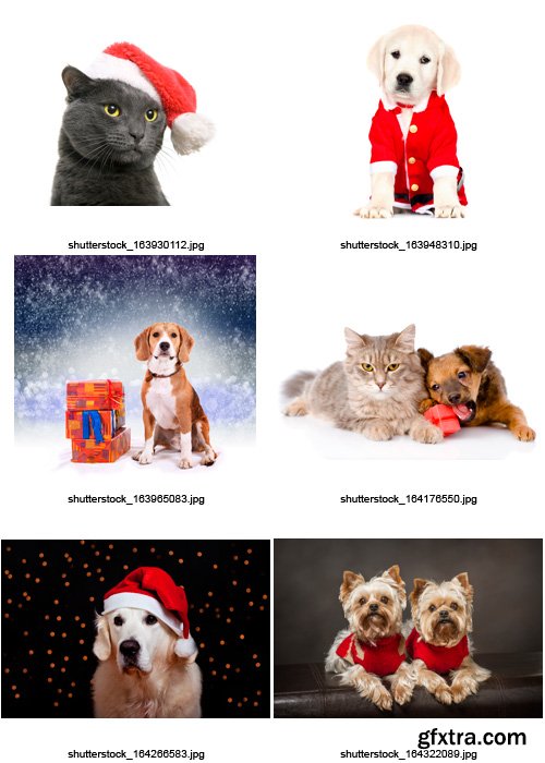 Amazing SS - Christmas Animals, 25xJPGs