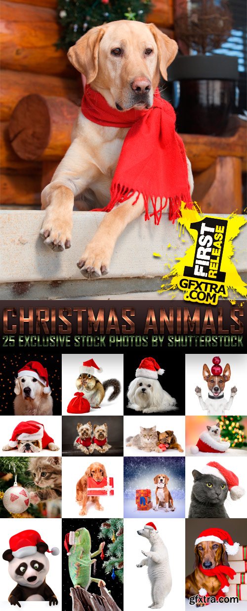 Amazing SS - Christmas Animals, 25xJPGs