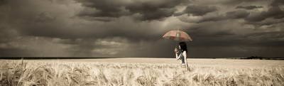 Girl on Wheat Field 25xJPG