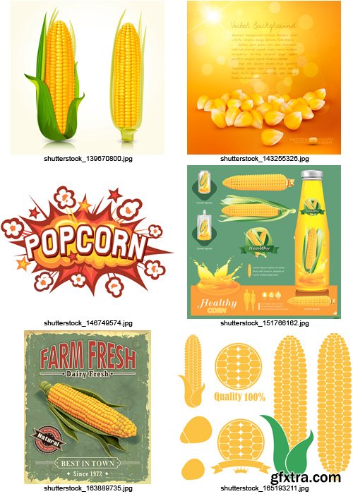 Amazing SS - Corn Elements, 25xEPS