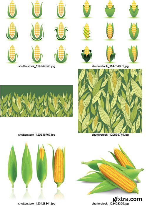 Amazing SS - Corn Elements, 25xEPS