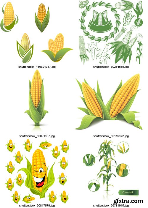 Amazing SS - Corn Elements, 25xEPS