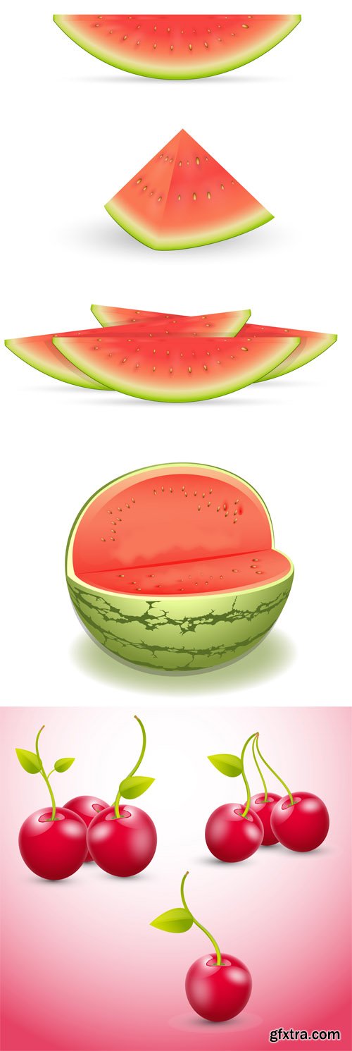 Watermelon and Cherry Vector Set