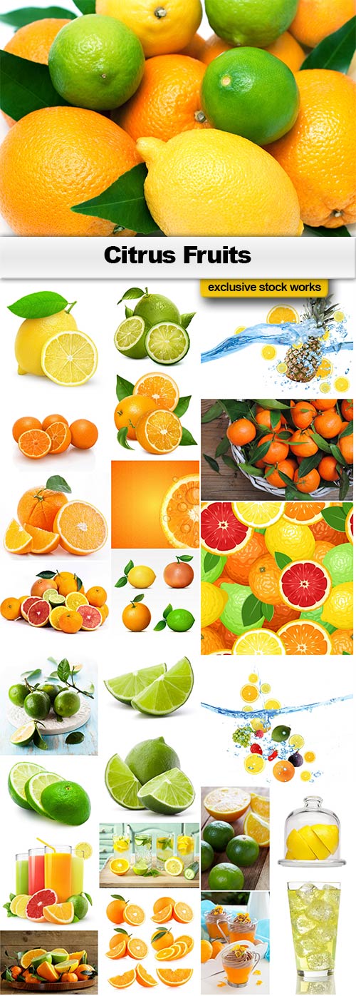 The Citrus Fruits - 20x JPEGs + 5 EPS