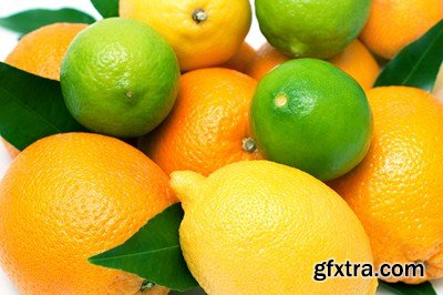 The Citrus Fruits - 20x JPEGs + 5 EPS