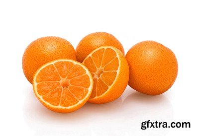 The Citrus Fruits - 20x JPEGs + 5 EPS