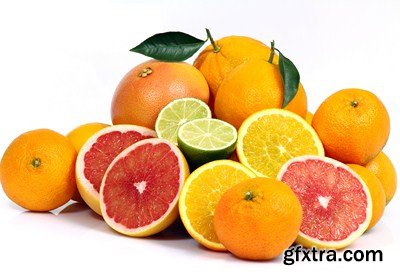 The Citrus Fruits - 20x JPEGs + 5 EPS