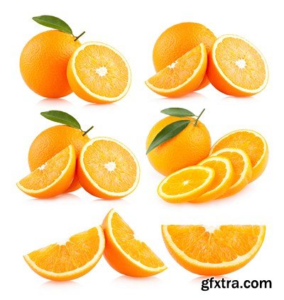 The Citrus Fruits - 20x JPEGs + 5 EPS