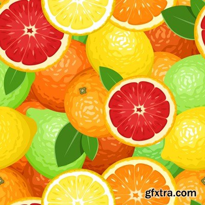 The Citrus Fruits - 20x JPEGs + 5 EPS