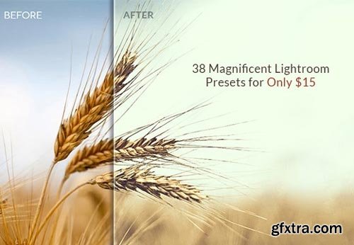 38 Magnificent Lightroom Presets for Only $15