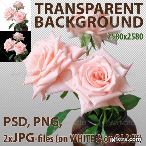 GraphicRiver - Pink Roses Isolated 5422638