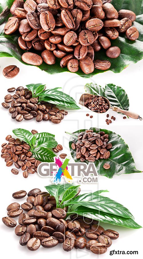 Stock photo - Coffee beans