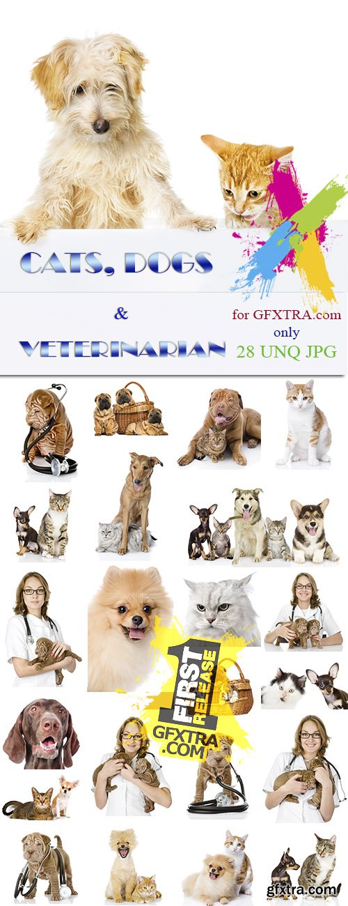 Cats, dogs and veterinarian, 28xJPGx