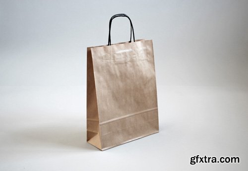 Realistic Paper Bag Mock-up Template