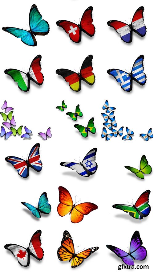 World of Butterfly - 25 UHQ JPEG