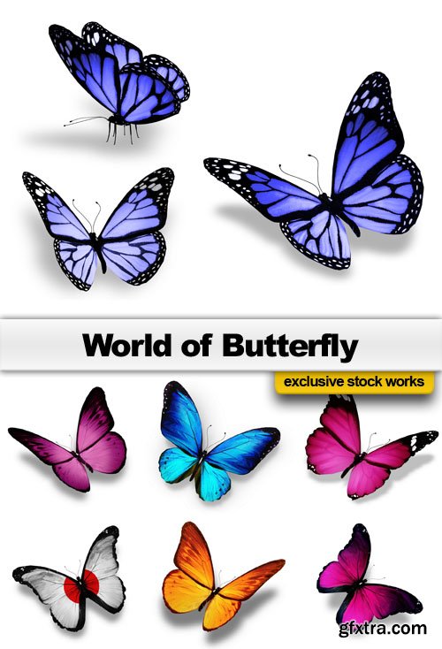 World of Butterfly - 25 UHQ JPEG