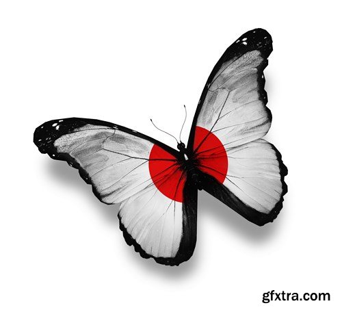 World of Butterfly - 25 UHQ JPEG