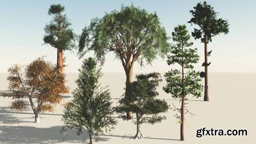 3D Model - Trees 9