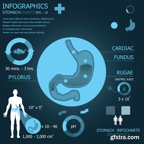 Medical Infographics Elements - 25x EPS