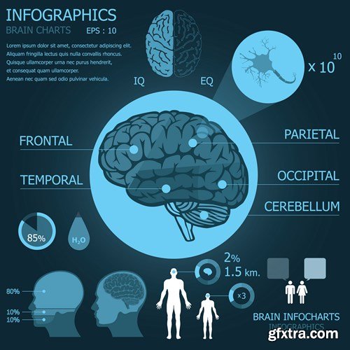 Medical Infographics Elements - 25x EPS