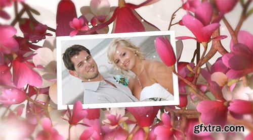 Videohive Beautiful Wedding Moments 5742269