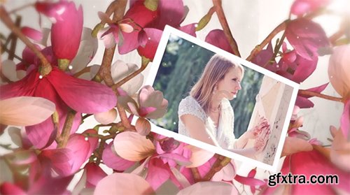 Videohive Beautiful Wedding Moments 5742269