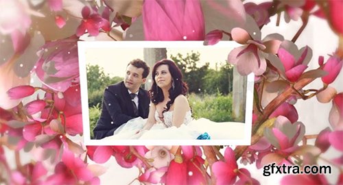 Videohive Beautiful Wedding Moments 5742269