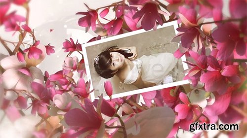 Videohive Beautiful Wedding Moments 5742269