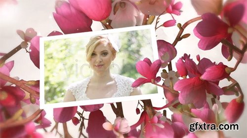 Videohive Beautiful Wedding Moments 5742269