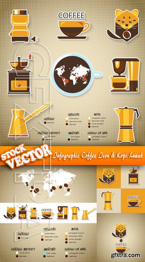 Stock Vector -Infographic Coffee Icon & Kopi Luwak