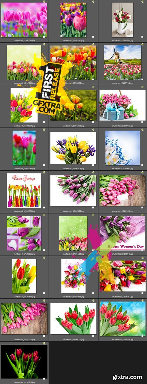 Stock Photo - Tulips