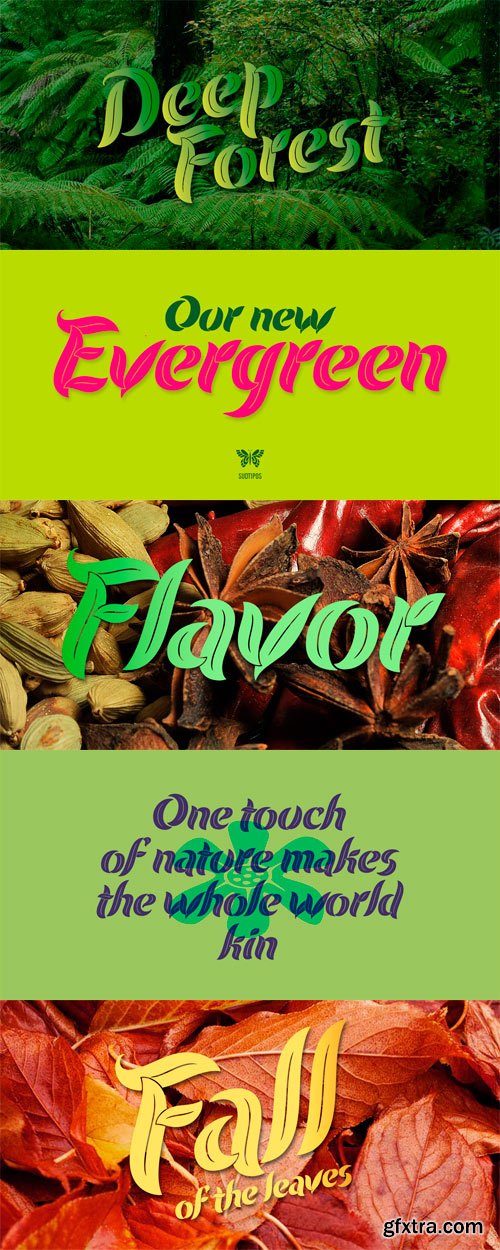 Evergreen Font Family - 3 Fonts for 35$!