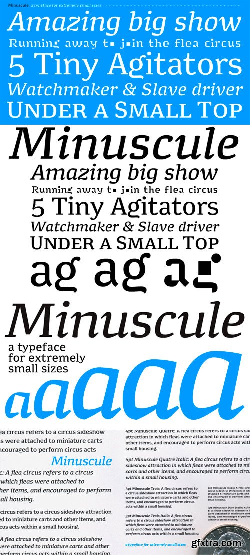 Minuscule Font Family - 10 Fonts for $500!