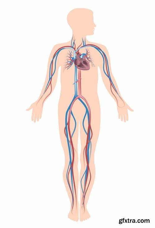 Medical Infographics - 25x EPS