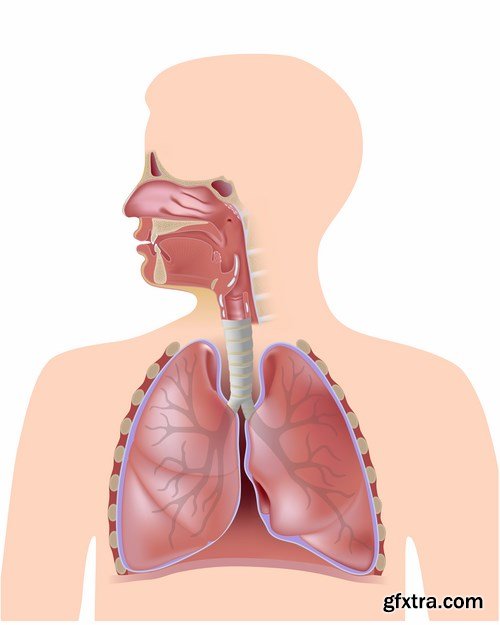 Medical Infographics - 25x EPS