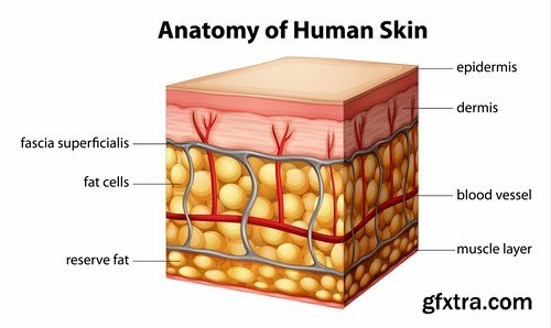 Medical Infographics - 25x EPS