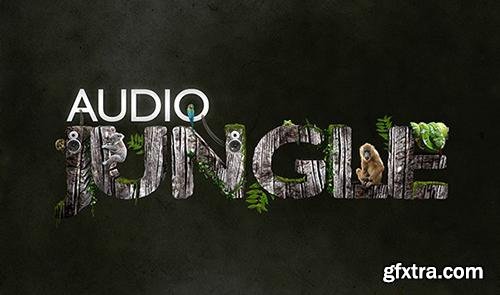 AudioJungle Items in the Bundle 2014 2