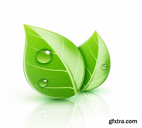 Green Leaves Vectors - 25x EPS