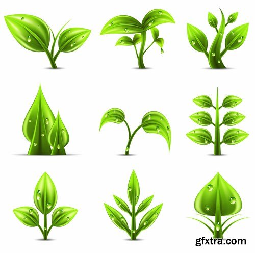 Green Leaves Vectors - 25x EPS