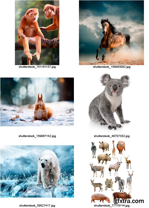 Amazing SS - Animals of the World (vol.2), 25xJPGs