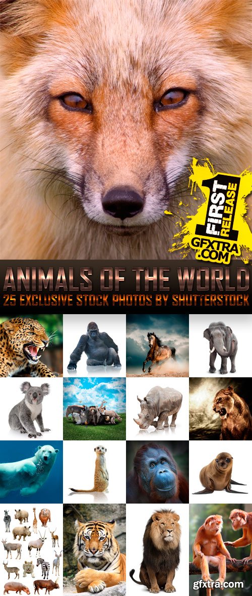 Amazing SS - Animals of the World (vol.2), 25xJPGs