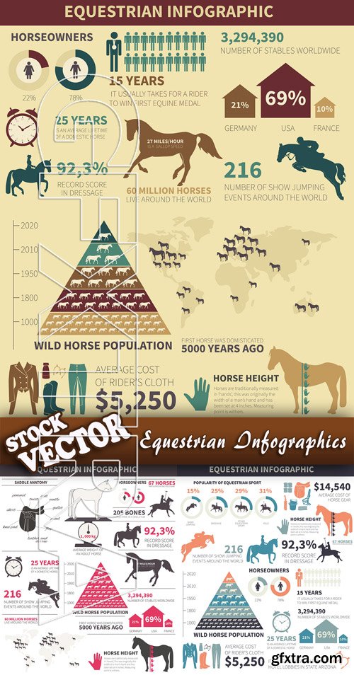 Stock Vector - Equestrian Infographics