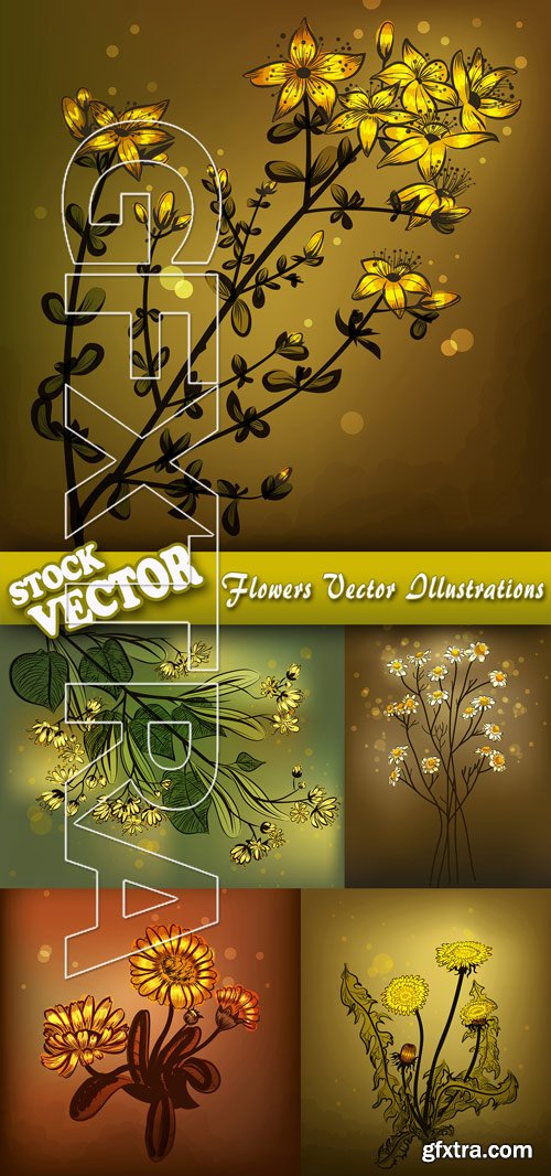 Stock Vector - Flowers Vector Illustrations