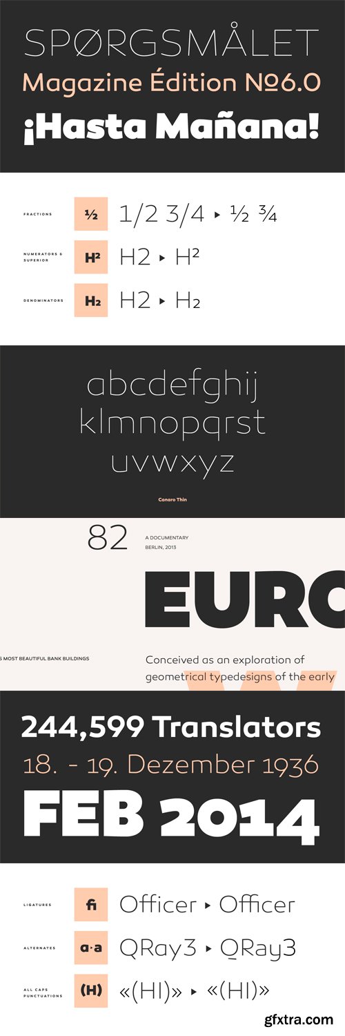 Canaro Font Family - 18 Fonts for $300!