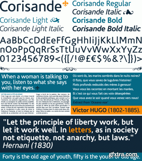 IDENTIKAL FOUNDARY - 68 Commercial Font Families €2499