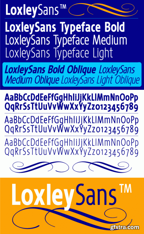 IDENTIKAL FOUNDARY - 68 Commercial Font Families €2499