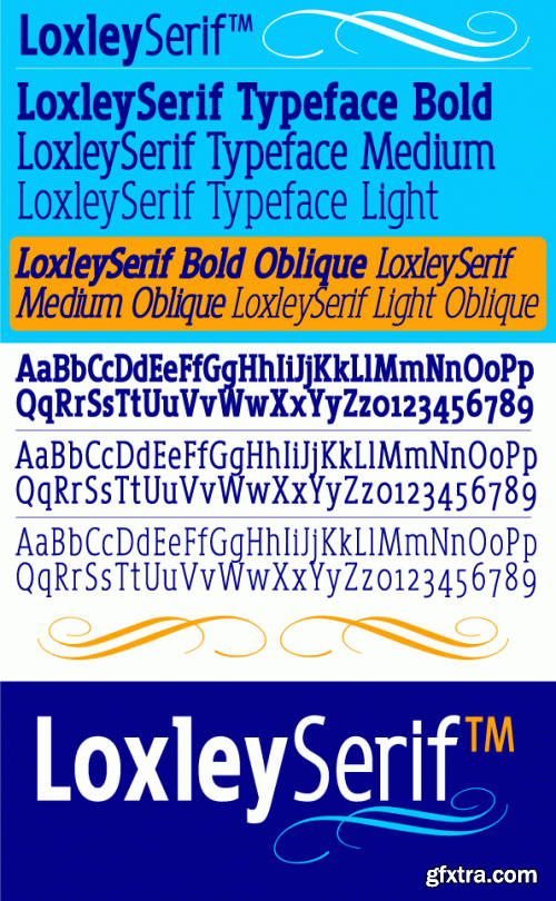 IDENTIKAL FOUNDARY - 68 Commercial Font Families €2499