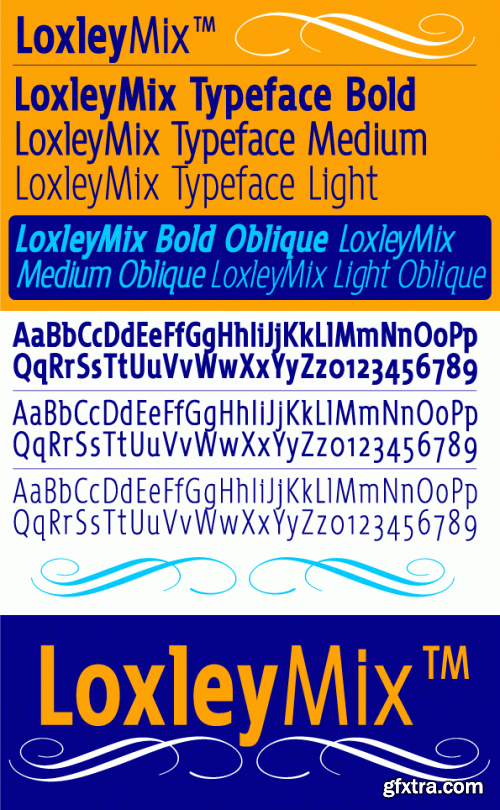 IDENTIKAL FOUNDARY - 68 Commercial Font Families €2499