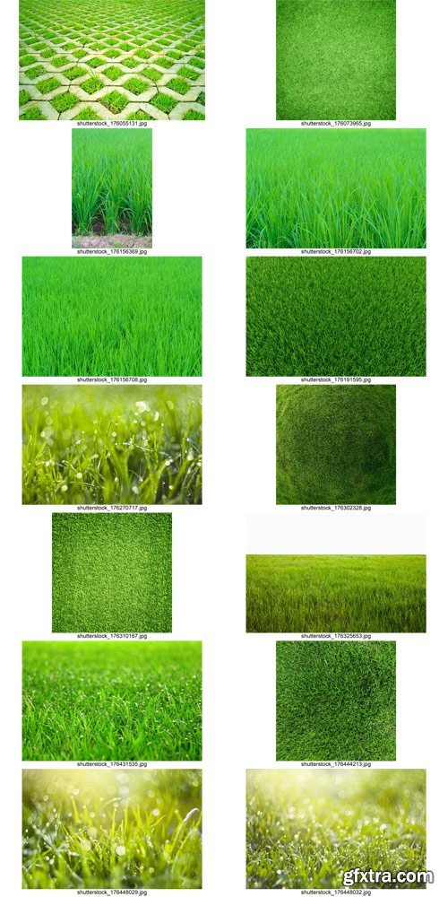 Shutterstock - Grass, 25xJpg